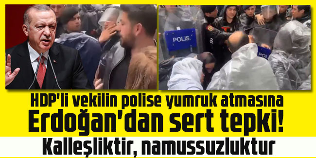 HDP'li vekilin polise yumruk atmasına Erdoğan'dan sert tepki! Kalleşliktir, namussuzluktur