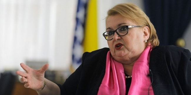 Bosna Hersek Dışişleri Bakanı: Türk milleti iyi bir dostumuz