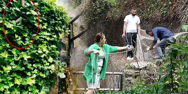 Trabzon'da dev yılan paniği! Evlerine giremez oldular