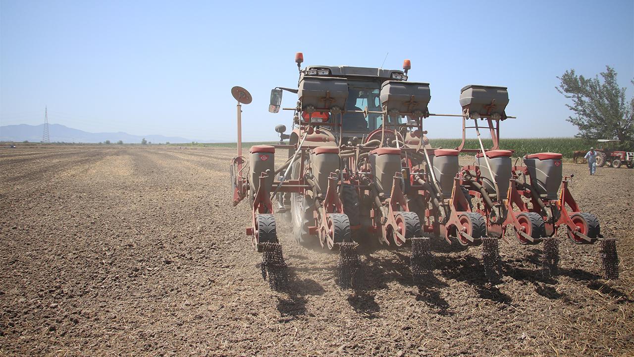 Adana'da tarım arazileri ikinci ürünle buluşturuluyor