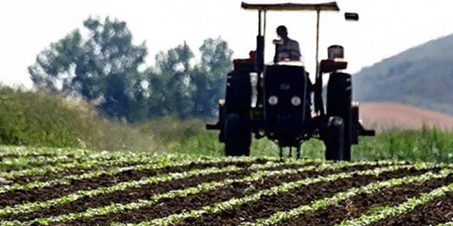 Tarım ve gıda sektörü için önemli gelişme: Sözleşmeli üretim yapılacak