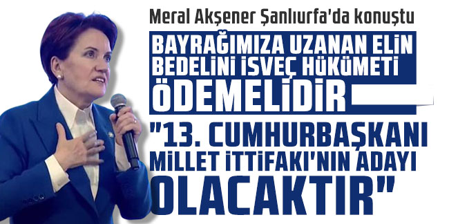 Meral Akşener Şanlıurfa'da konuştu: Bayrağımıza uzanan elin bedelini İsveç hükümeti ödemelidir