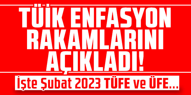 Şubat 2023 enflasyonu açıklandı.. İşte TÜFE ve ÜFE rakamları