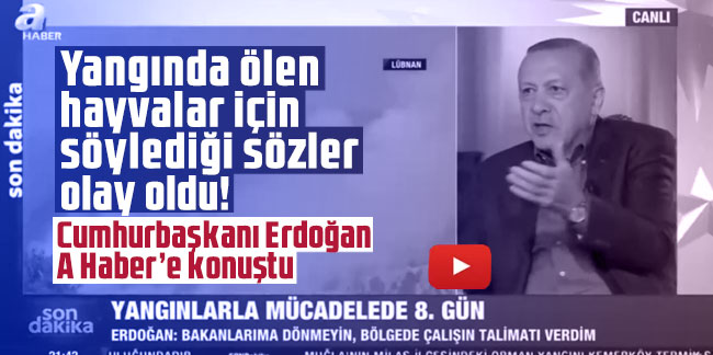 Cumhurbaşkanı Erdoğan yangında ölen hayvanlar için söylediği sözler olay oldu