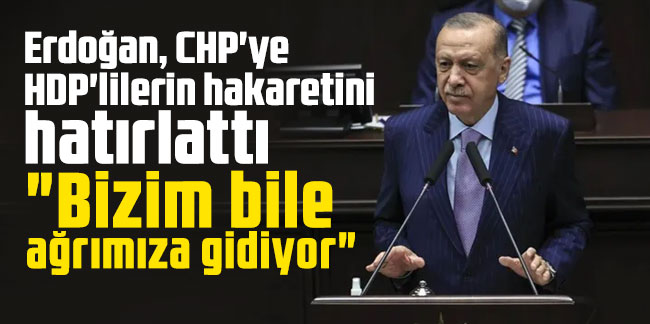 Erdoğan, CHP'ye HDP'lilerin hakaretini hatırlattı: "Bizim bile ağrımıza gidiyor"