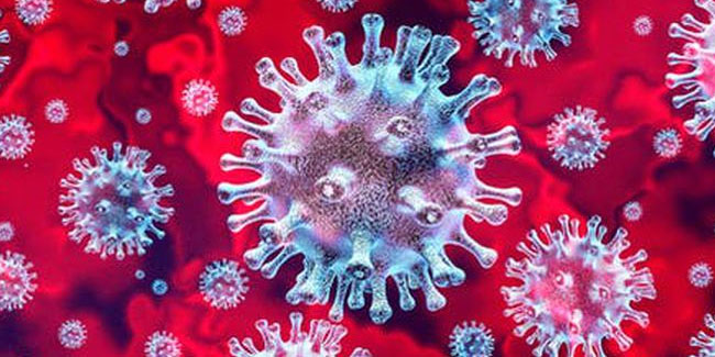 Koronavirüsü yenebilen yeni bir virüs keşfedildi: Rinovirüs