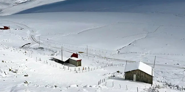Trabzon'un yüksek kesimlerinde kar etkili oldu!