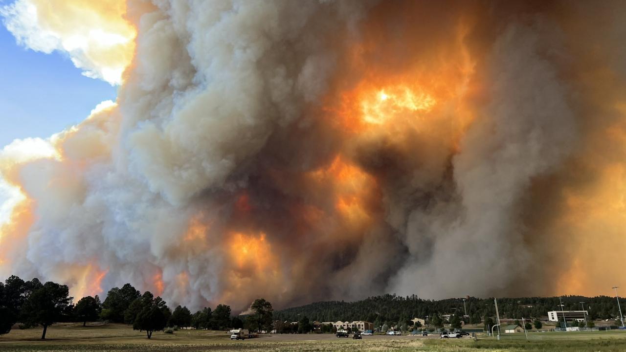 ABD'de orman yangınları