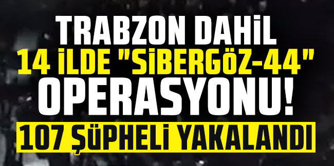 Trabzon dahil 14 ilde "Sibergöz-44" operasyonu! 107 şüpheli yakalandı