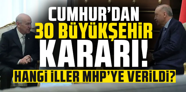 AK Parti ve MHP, 30 ilde ortak aday çıkaracak!