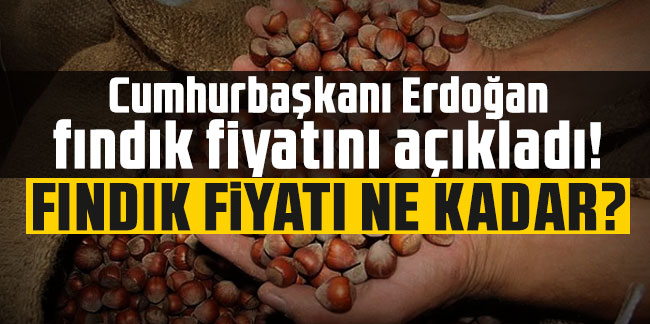Cumhurbaşkanı Erdoğan fındık fiyatını açıkladı! Fındık fiyatları ne kadar?