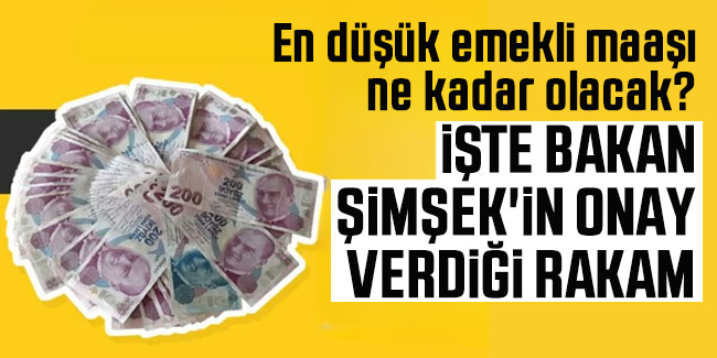 En düşük emekli maaşı ne kadar olacak? İşte Bakan Mehmet Şimşek'in onay verdiği rakam