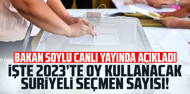 Bakan Soylu 2023'te oy kullanacak Suriyeli seçmen sayısını açıkladı