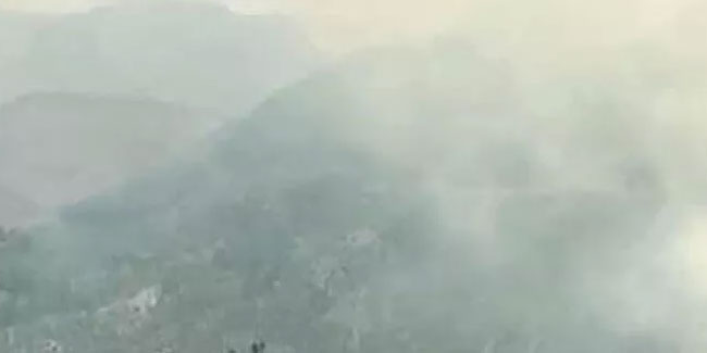 Antalya'daki orman yangını, kontrol altına alındı