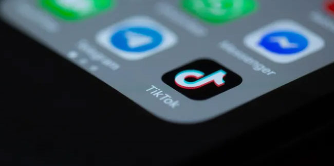 MASAK'tan TikTok incelemesi: Fenomenlerin kendilerine bağış yaptığı ortaya çıktı
