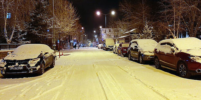 Ardahan ve Kars'ta kar yağışı etkili oldu