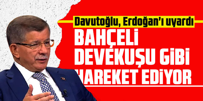 Davutoğlu, Erdoğan'ı uyardı: Bahçeli devekuşu gibi hareket ediyor