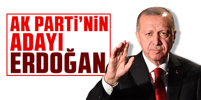 AK Parti'nin Cumhurbaşkanı adayı Erdoğan oldu!