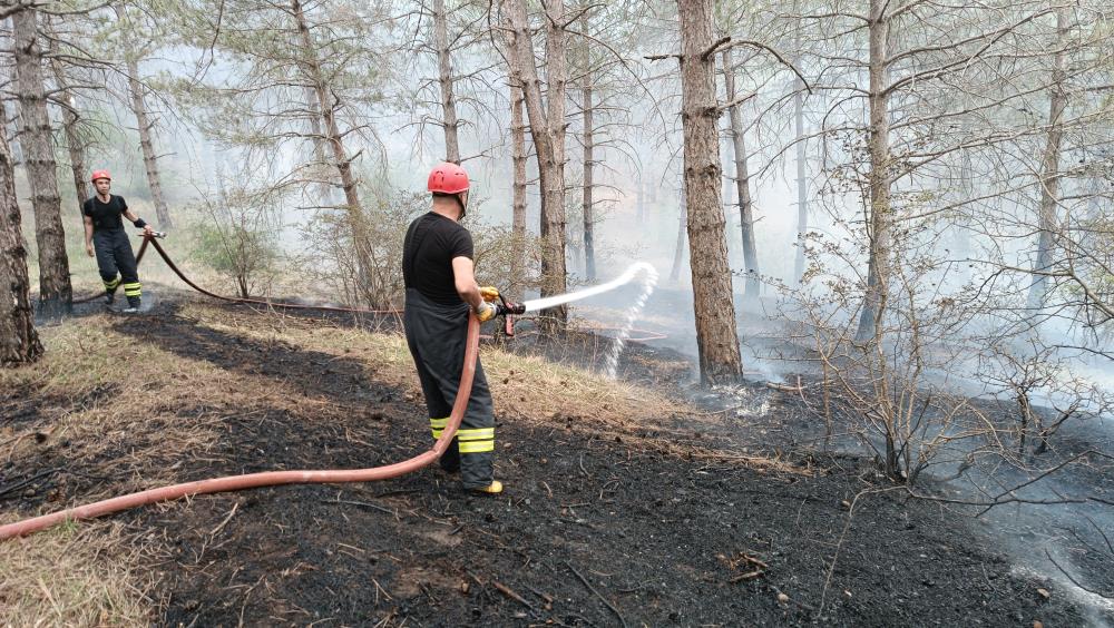 Samsun Havza Kılavuz Ormanı'nda korkutan yangın