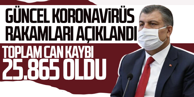 30 Ocak Türkiye'de koronavirüs tablosu