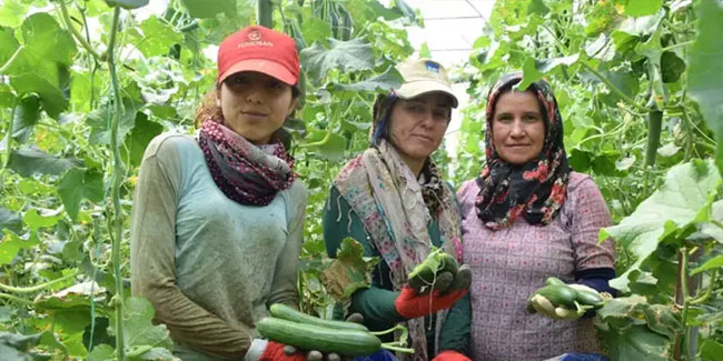 Kadın çiftçiler üretmeye devam ediyor