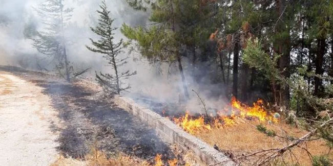 Antalya, Elazığ ve Denizli'de orman yangını! Müdahale sürüyor