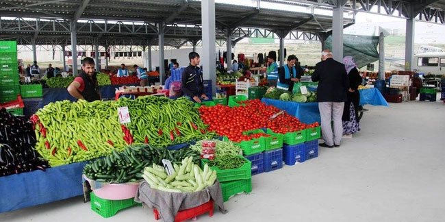 Türkiye, 19 tarım ürününün üretiminde dünyada ilk 4'te!