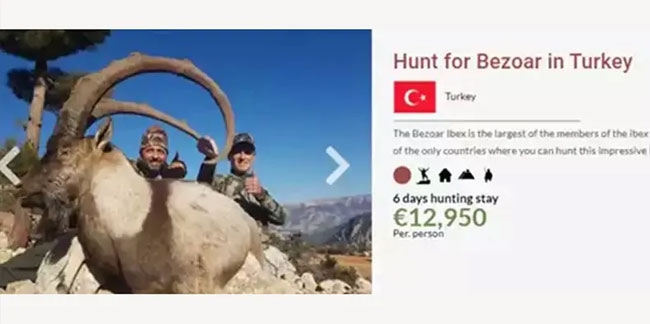 Nesli tükenme tehlikesindeki canlılar için Türkiye safarisi başlatılar