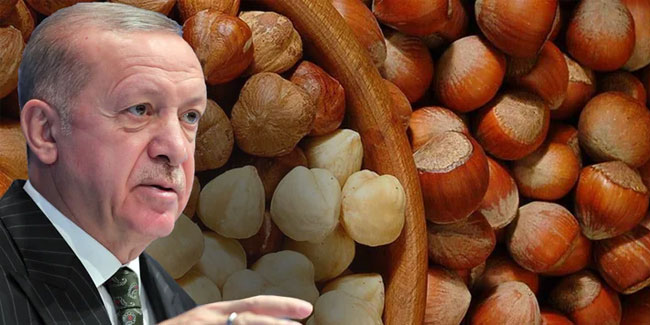  Cumhurbaşkanı Erdoğan açıklıyor! CHP'nin taban teklifi ne?