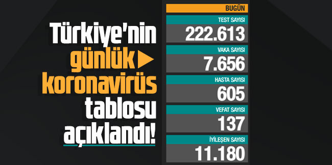 Türkiye'nin 29 Mayıs koronavirüs tablosu açıklandı!