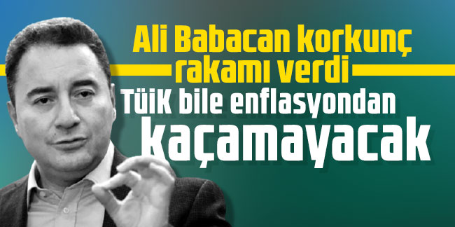 Ali Babacan korkunç rakamı verdi: TÜİK bile enflasyondan kaçamayacak