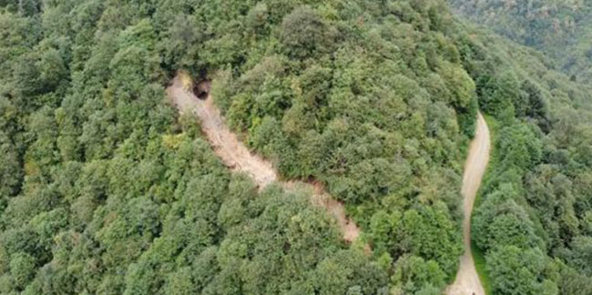 Trabzon'da define için ormana yol açtılar!