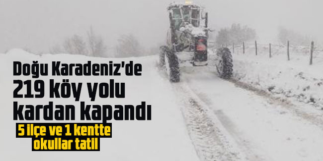Doğu Karadeniz'de 219 köy yolu kardan kapandı
