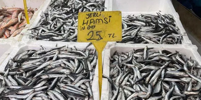 Hamsi fiyatları yarı yarıya düştü! Kilosu...