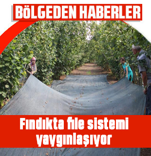 Fındıkta file sistemi yaygınlaşıyor