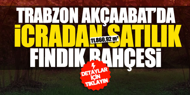 Trabzon Akçaabat'da icradan satılık fındık bahçesi