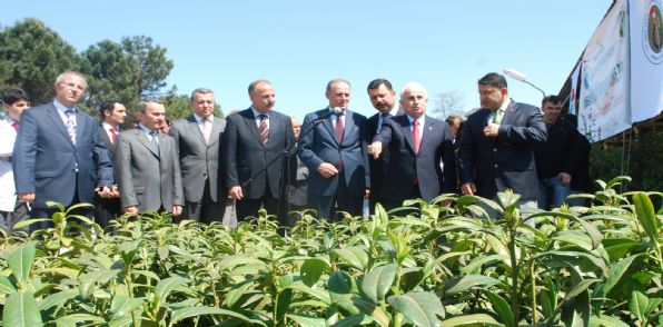 Giresun'da 3 Bin 825 Meyva Fidanı Dağıtıldı