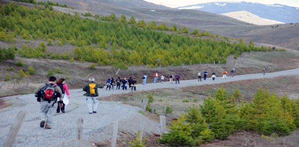 Gümüşhane ve Trabzonlu Dağcılar Sarıçiçek Çıkarmas