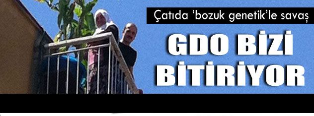 GDO bizi bitiriyor