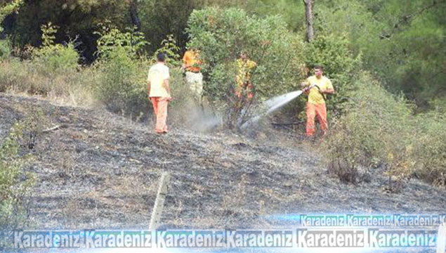 Sakarya'da orman yangını: 1 ölü