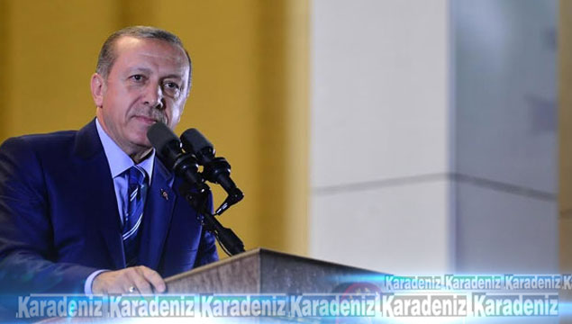 Erdoğan'dan milli sporcuya tebrik telgrafı