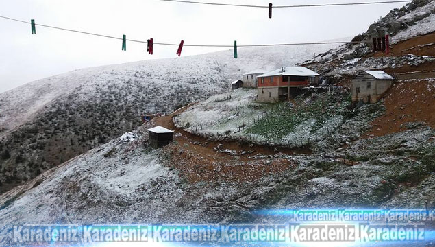 Giresun'a ilk kar düştü 