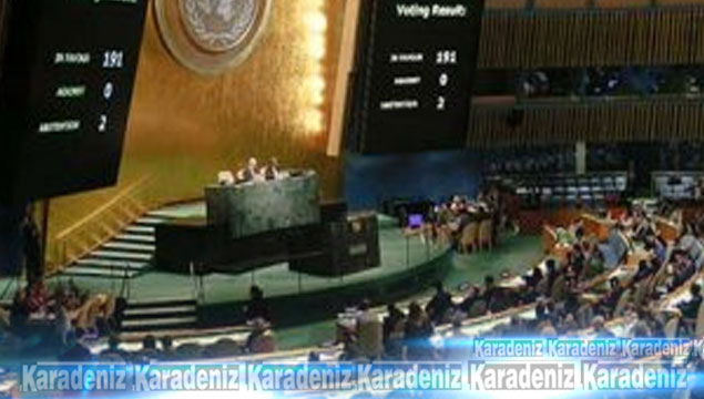 Birleşmiş Milletler Genel Kurulu'nda tarihi gün