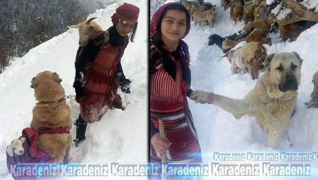 Rize'nin Heidisi 