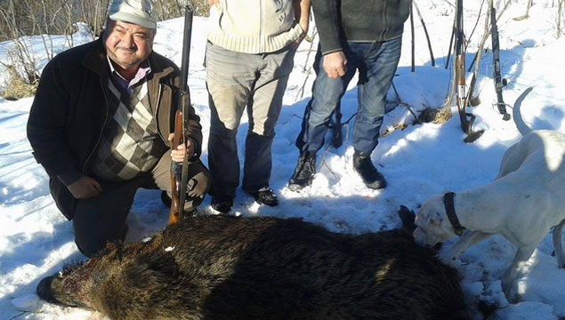 200 kiloluk domuz avlandı