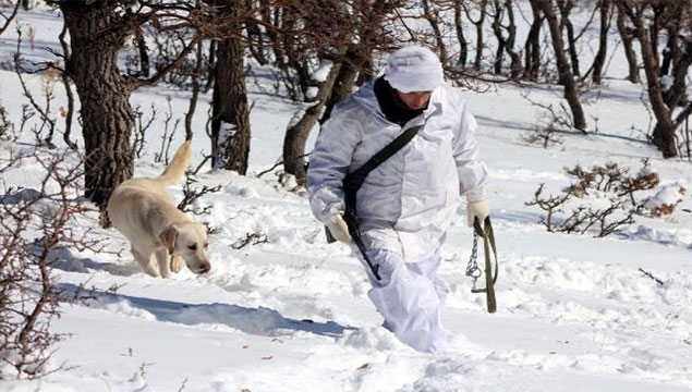 -18 derecede PKK avı