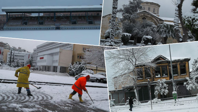 Trabzon bembeyaz