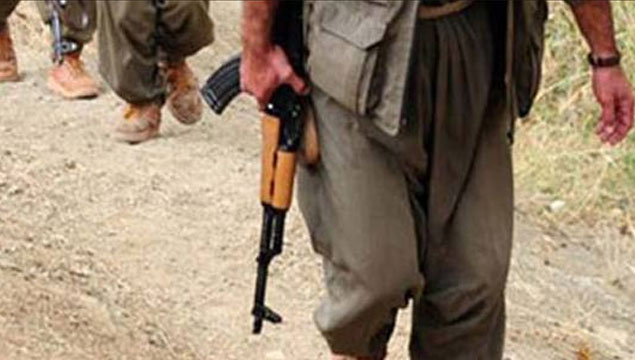 Sur'da 13 PKK'lı teslim oldu