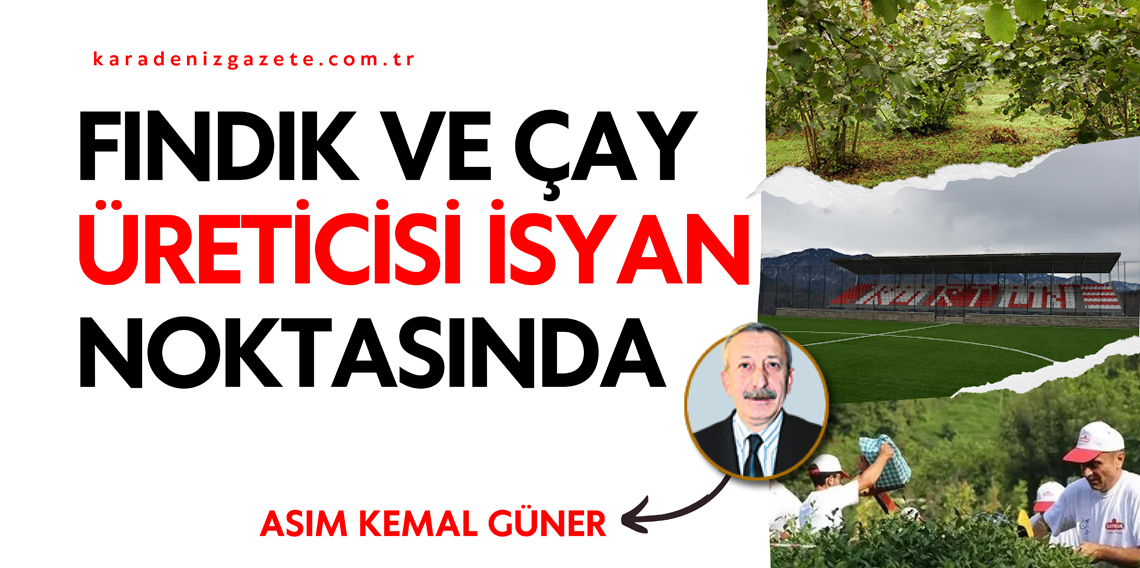 Fındık ve Çay Üreticisi İsyan Noktasında