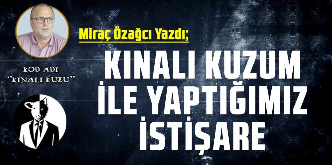 Kınalı Kuzum İle Yaptığımız İstişare